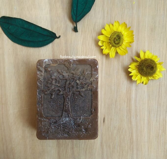 Aroma Essentials Choco Coffee Soap